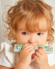 Janod Harmonica Jouets Janod