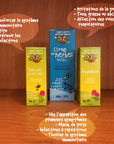 Souris Verte Sirop aux herbes Soins corporels Souris Verte