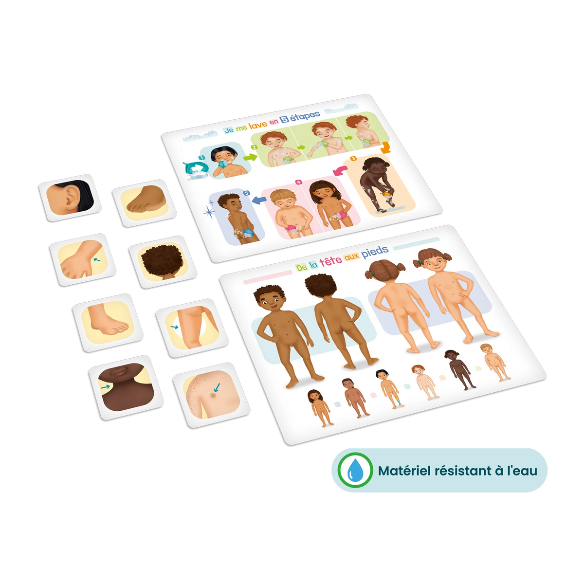 Placote De la tête aux pieds Éducation Placote : Jeux de langage