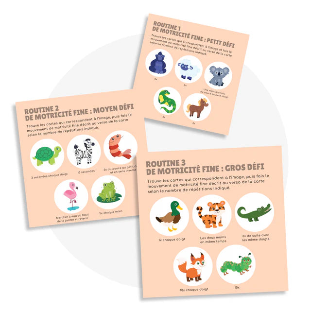 Les Bougeottes Cartes d'apprentissage - Animaux Méli-mélo 3 Éducation Les Bougeottes