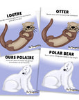 Les Bougeottes Cartes d'apprentissage - Animaux polaires Éducation Les Bougeottes
