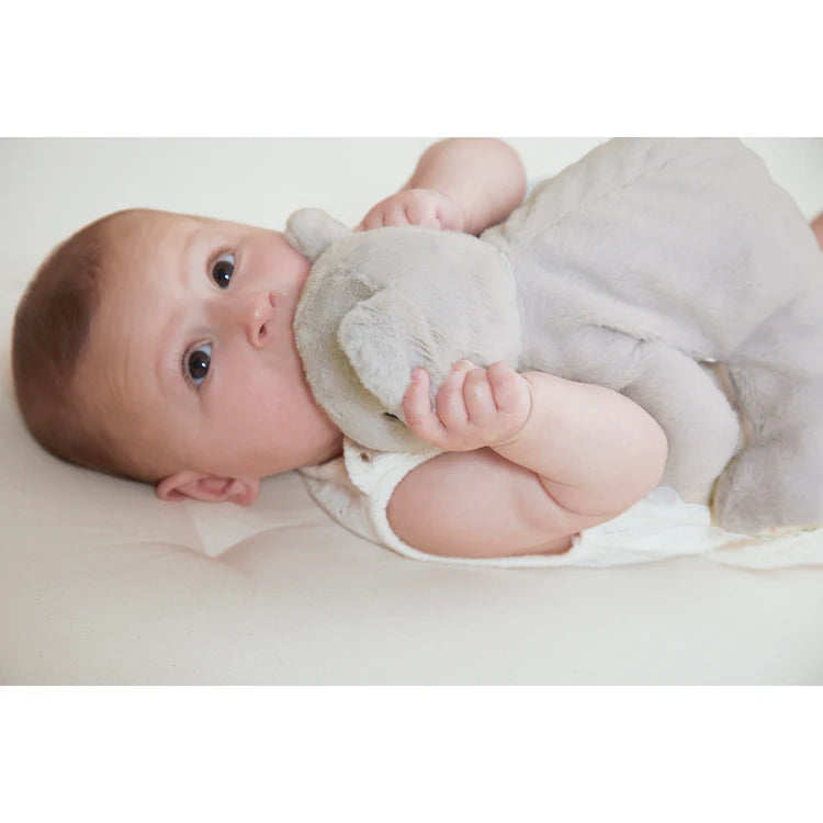 Kaloo Peluche lesté Koala Jouets Kaloo