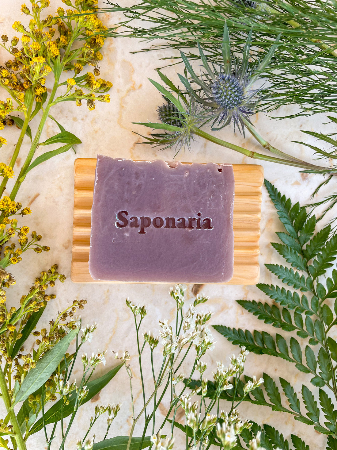 Savonnerie Saponaria Savon naturel Soins corporels Savonnerie Saponaria Chardon des prés